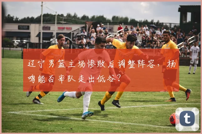 辽宁男篮主场惨败后调整阵容，杨鸣能否率队走出低谷？